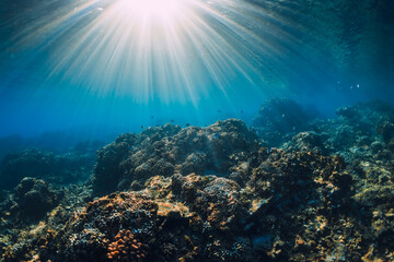 Tropical sea with corals and sun rays. Tranquil underwater scene with copy space.