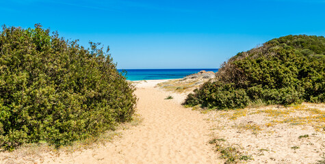 Blue sky over the beach in springtime