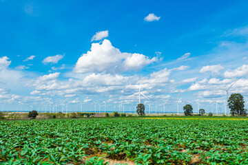 green eco industry environmental friendly concept, agriculture plant field in wind turbines...