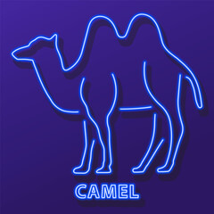 camel neon sign, modern glowing banner design, colorful modern design trend on black background. Vector illustration.