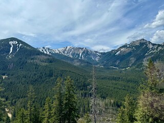 Fototapeta premium park state