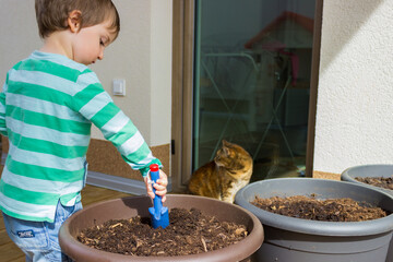 A boy planting seeds and watering the soil in the slides in the greenhouse