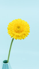 一輪の黄色いガーベラの花が花瓶に飾ってある