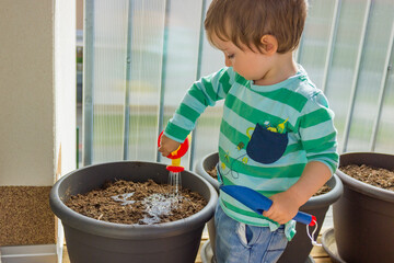 A boy planting seeds and watering the soil in the slides in the greenhouse