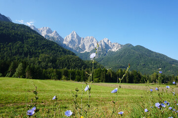 Kranjska Gora e dintorni, Slovenia