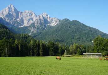 Kranjska Gora e dintorni, Slovenia