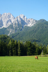 Kranjska Gora e dintorni, Slovenia