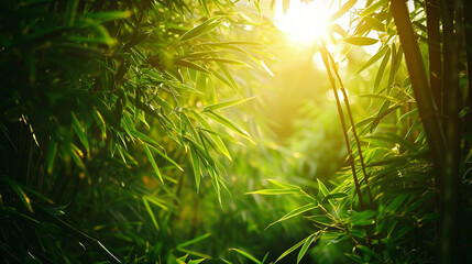 lush bamboo forest, with tall bamboo stalks swaying gently in the breeze and filtering sunlight through their dense foliage,