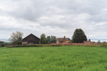 abandoned farm in summer