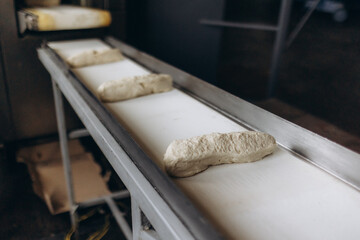 white round pastry dough arranged in a row in a stainless steel tray Putting into a large baking oven, the baking concept