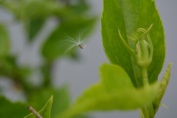 Photo Of Green Bushes In The Garden