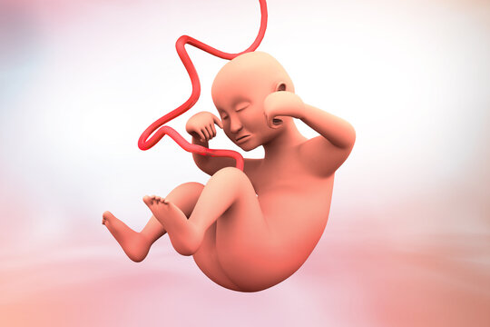 Newborn baby with umbilical cord. 3d illustration..