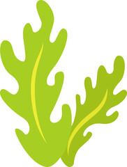 green seaweed illustration design isolate