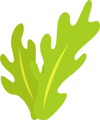 Obraz premium green seaweed illustration design isolate