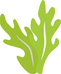 Obraz premium green seaweed illustration design isolate