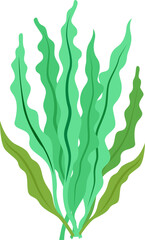 green seaweed illustration design isolate