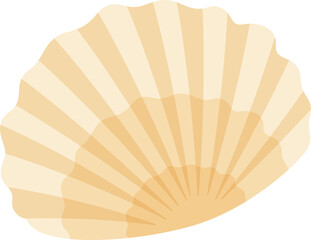 colorful sea shell colorful illustration design isolate