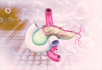 Human pancreas anatomy on scientific background. 3d illustration.