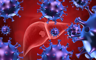 Human liver with hepatitis virus. 3d illustration..
