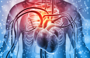 Human heart anatomy, heart attack. 3d illustration.