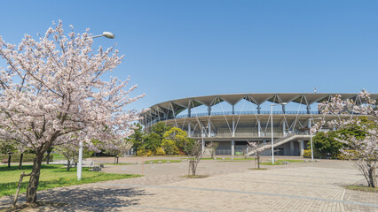 日本の春の桜と公園｜千葉市蘇我スポーツ公園