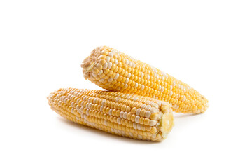 Two ears of sweet corn isolated on a white background..
