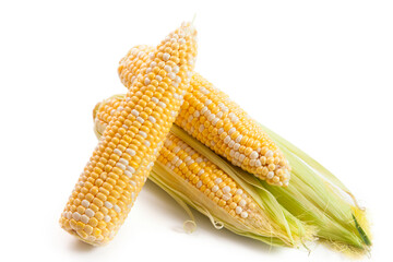 Several ears of sweet corn isolated on a white background. .