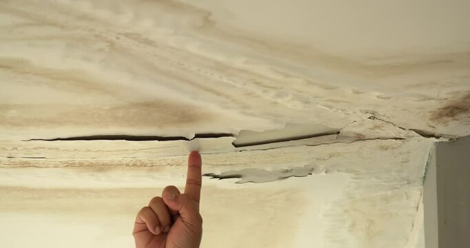 Male finger is peeling paint on ceiling, Office building or house problem for house service. High definition shot at 4K, 50 fps video footage.