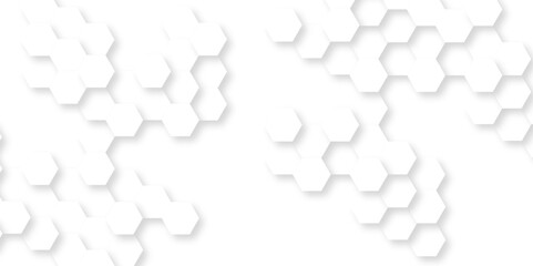Background with hexagons . Abstract background with lines . white texture background . white and hexagon abstract background. white paper texture and futuristic business .