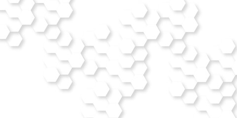 Background with hexagons . Abstract background with lines . white texture background . white and hexagon abstract background. white paper texture and futuristic business .