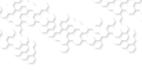 Background with hexagons . Abstract background with lines . white texture background . white and hexagon abstract background. white paper texture and futuristic business .