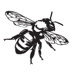 Simple cartoon bee logo icon, black vector illustration on white background