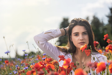 Cool atractive long haired  brunette young woman is posing in a cereal field with red poppies and blue cornflowers. Horizontally. 