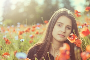 Atractive long haired brunette young woman is posing in red poppies field. Edited as cinematic photo. Horizontally. 