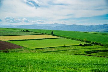 Beskid Żywiecki, widok z Pogórza Wilamowickiego. Panorama wiosną z pięknymi zielonymi łąkami i polami.