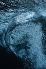 water background, surfer under the wave