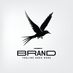 bird vector business  Logo Design Template Element