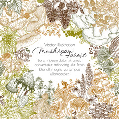 Vector frame forest plants. Mushrooms, flowers, berries. Fly agaric, porcini mushroom, honey mushrooms, oyster mushrooms, violets, cloudberries © Viktoriia Holovko