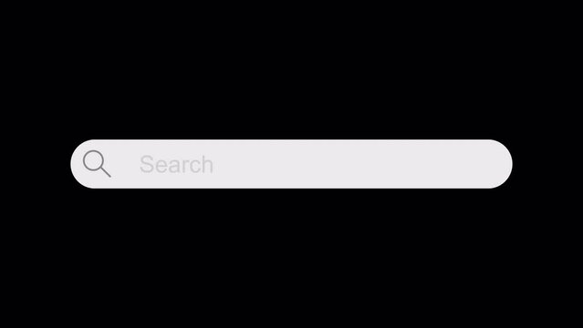 Loop of Internet search engine field, 4k animation featuring a web search tool with an entry field, Alpha Channel