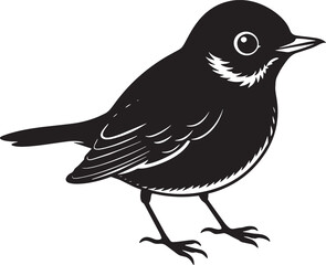 Blackbird on a white background, vector illustration