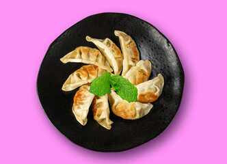 Gyoza Chinese Dumplings Top View, Vegetable Jiaozi, Chicken Momo Pile, Asian Gyoza Portion on Pink