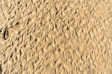 Sand Texture Background, Sandy Beach Pattern, Beige Ocean Dune Wallpaper, Wet Beach