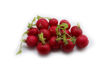 Red radishes isolated on white background. Bunch of fresh radishes. Raphanus sativus 