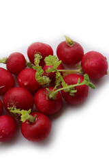 Red radishes isolated on white background. Bunch of fresh radishes. Raphanus sativus 