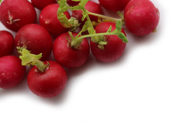 Red radishes isolated on white background. Bunch of fresh radishes. Raphanus sativus 