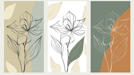 Minimalist floral line art on earth-toned backgrounds