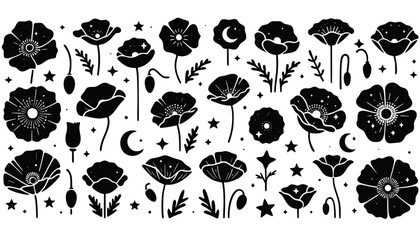 Elegant Poppies Vector Illustration, Celestial clipart set