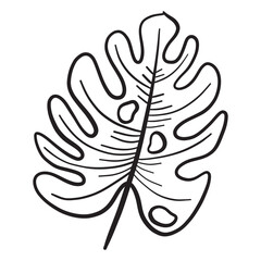 black and white leaves