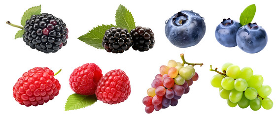 Collection of berry berries family fruits, blackberry, blueberry, raspberry, grape on transparent background cutout, PNG file. Mockup template for artwork design