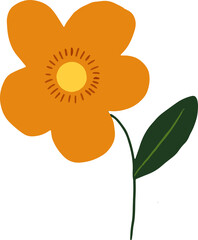 Cute Orange Flower 